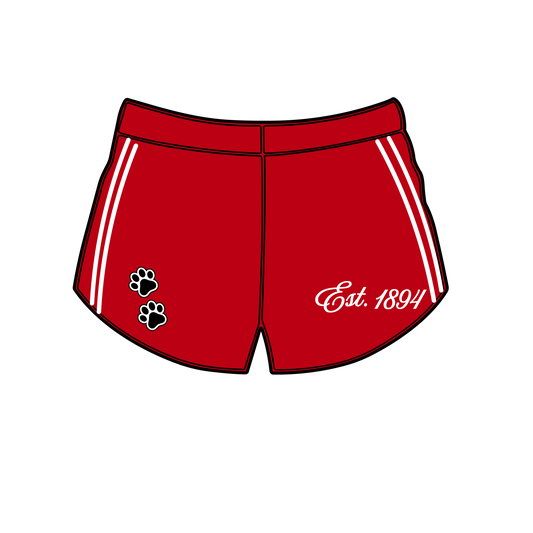 Elevated × Mitch Flippo Shorts